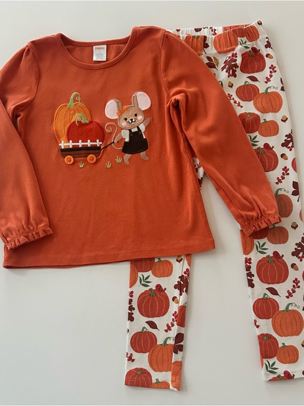 Gymboree Girls 7 Orange Pumpkin Mouse Top & Leggings Set Fall Outfit